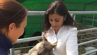 Saya harap hari ini, kaum muda bisa melihat bahwa terlepas apapun latar belakang mereka, garis keturunan atau keyakinan mereka, akan ada sambutan hangat dari bangku hijau (kursi parlemen) -- dan tidak peduli dari mana Anda berasal, Anda bisa mencapai mimpi dan ambisi Anda, kata Ghani.