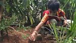 Kenangan Manis Keluarga Anies dan Loki Si Kucing Peliharaan