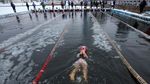 Foto: Brrr! Lomba Renang Ekstrem di Dalam Kolam Es