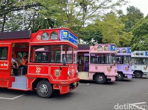 Mulai Beroperasi, Ini Lima Rute Wisata Bandros di Kota Bandung