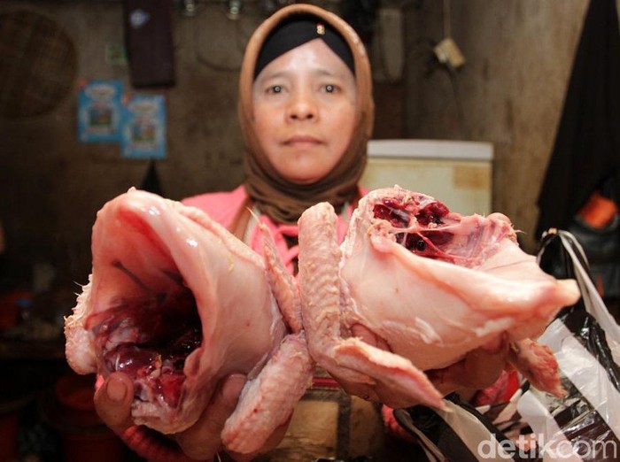 Harga Daging Ayam Naik, Ini Kata Pedagang di Probolinggo