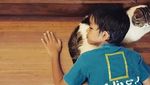 Ini Loki Si Kucing yang Bikin Anies dan Keluarga Bersedih
