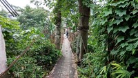 Pegangan jembatan itu sebatas sling, semacam tali baja yang disambungkan ke pohon.(Kanavino-detikcom)