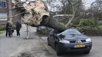 Akibat badai itu, setidaknya dua orang telah dilaporkan tewas akibat tertimpa pohon tumbang. Pemerintah Belanda pun sudah merilis kode merah untuk sejumlah wilayahnya. (Foto: Peter Hills/HH)