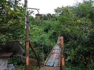 Kisah Jembatan Indiana Jones di Tepi Ibu Kota