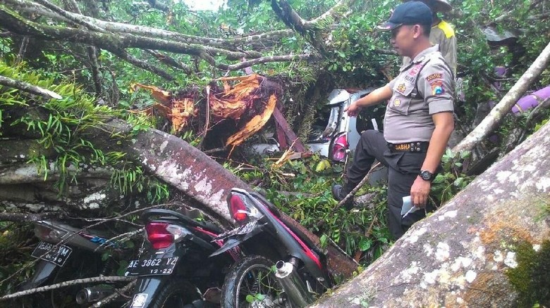 Pohon Beringin Raksasa Tumbang Rusak Rumah dan 6 Kendaraan Pohon Beringin Raksasa Tumbang Rusak Rumah dan 6 Kendaraan