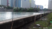 Tampak lahan tersebut ditumbuhi banyak pohon rindang. Pulau ini terletak tak jauh dari pintu irigasi di ujung Danau Sunter.