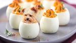 Ah, Lucunya! Anjing-anjing Ini Menyelip dalam Bentuk Makanan