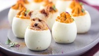 Begini jadinya kalau anjing ada di deviled eggs! Muka anjing yang nampak polos bikin foto ini kelihatan lucu ya? Foto: Instagram dogs_infood