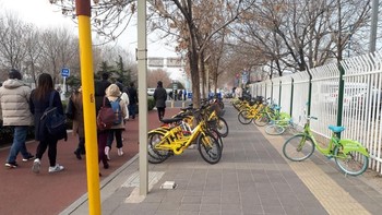 Sepeda ini adalah milik dari beberapa startup sepeda yang menjamur di China. Warna yang berbeda berarti milik perusahaan yang berbeda pula. Foto: Fino Yurio Kristo/detikcom