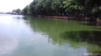 Namun, saat diambil air danau tersebut tidak berbau dan tidak lengket saat disentuh.