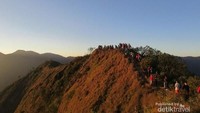 detikTravel akan membahas Gunung Puntang yang berada di Banjaran, Bandung Selatan, Jawa Barat. Inilah tempat di mana kopi paling mahal dan terbaik dicicipi oleh Presiden Jokowi (Adhan/detikTravel)