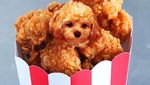 Ah, Lucunya! Anjing-anjing Ini Menyelip dalam Bentuk Makanan