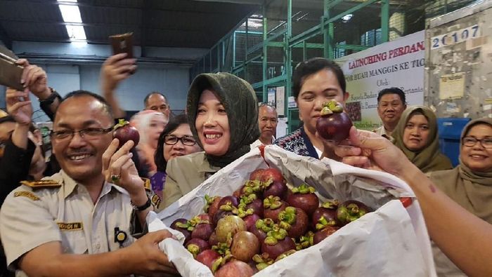 Foto: Dok. Kementan Foto: Dok. Kementan