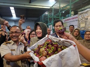 Setelah 5 Tahun, Manggis RI Akhirnya Bisa Tembus Pasar China