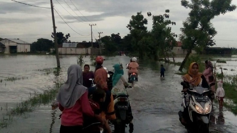 Banjir Akibat Hujan Seharian Rendam Jalan dan Sawah di Lamongan Banjir Akibat Hujan Seharian Rendam Jalan dan Sawah di Lamongan