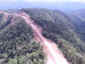 Begini Caranya Biar Hutan Nggak Gundul tapi Ekonomi Tetap Mantul