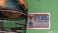 Dari laporan yang didapat mobil tersebut atas nama Andi Firmansyah, terdapat tiga mobil mewah yang dimuliki Andi.  