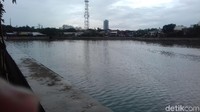 Danau Sunter Barat ini juga dikenal Danau Sunter Selatan 1. Ular sanca 4 meter itu ditemukan pada Jumat (19/1) kemarin.