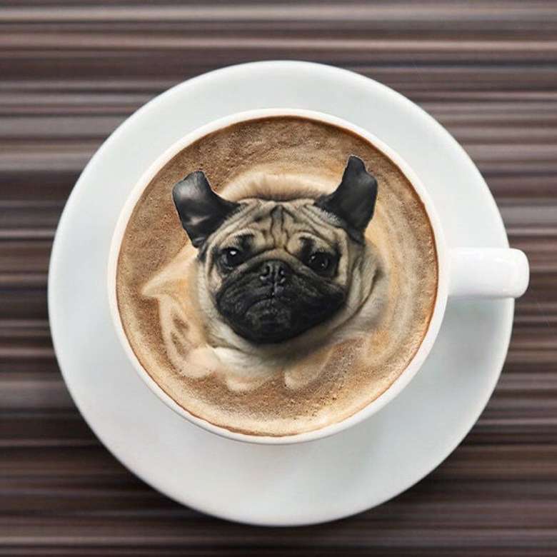 Ah Lucunya Anjing Anjing Ini Menyelip Dalam Bentuk Makanan Foto 7