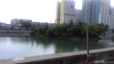 Ini Danau Sunter Lokasi Ular Sanca Mistis Ditemukan dan Dilepas