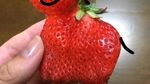 Kreatif! Netizen Ini Ubah Strawberry Cacat Jadi Unicorn, Putri Duyung hingga Gajah!