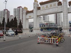 Melongok Sepeda Online Bermodal Triliunan Kuasai Beijing