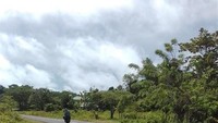 Selain beraspal, jalan di ruas Sorong Klamono batas Kabupaten Sorong Selatan juga dicor. Jalan dilapisi beton untuk mengantisipasi kondisi tanah yang lunak. Foto: Pool/BP Jalan Nasional XVII Papua Barat.