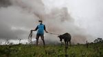 Penampakan Erupsi Gunung Mayon di Filipina dan Warga yang Mengungsi