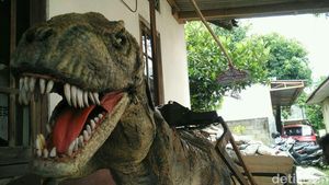 Rawrrr! Begini Tampang T-Rex Asal Jogja