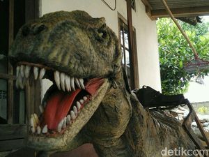 Rawrrr! Begini Tampang T-Rex Asal Jogja