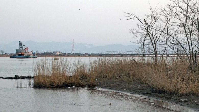Hilang Sebulan, Balita Ditemukan Tewas di Tepi Sungai Fukui Hilang Sebulan, Balita Ditemukan Tewas di Tepi Sungai Fukui