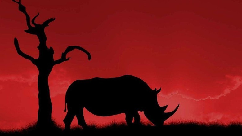 Jaringan Mafia Global di Balik Perdagangan Gelap Cula Badak Jaringan Mafia Global di Balik Perdagangan Gelap Cula Badak