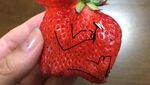 Kreatif! Netizen Ini Ubah Strawberry Cacat Jadi Unicorn, Putri Duyung hingga Gajah!