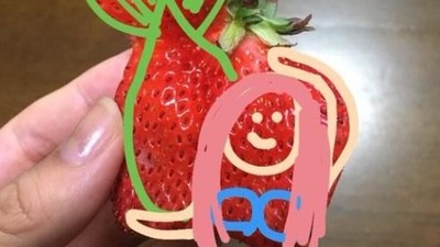 Kreatif! Netizen Ini Ubah Strawberry Cacat Jadi Unicorn, Putri Duyung hingga Gajah!