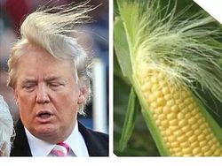 Meme Menohok #TrumpShutdown Pasca Tutupnya Pemerintahan AS