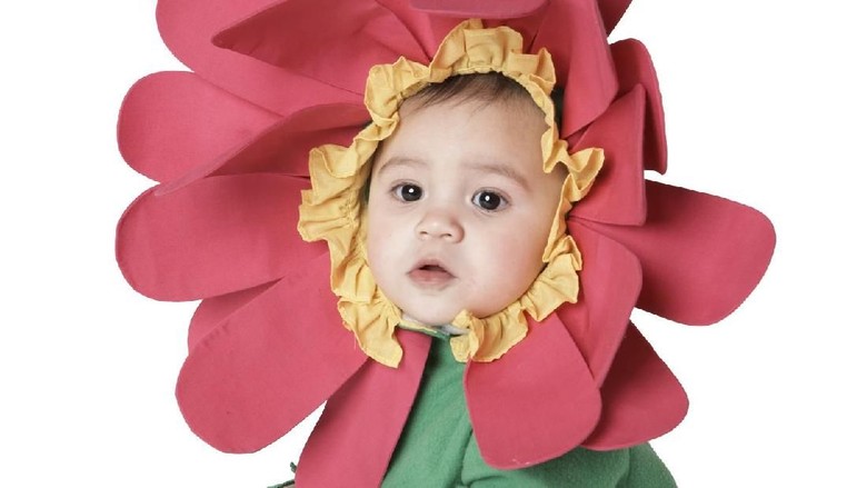 Bunga-bunga Ini Bisa Jadi Inspirasi Nama Indah untuk Bayi Perempuan/ Foto: Thinkstock Bunga-bunga Ini Bisa Jadi Inspirasi Nama Indah untuk Bayi Perempuan/ Foto: Thinkstock