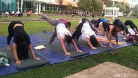 Wah lihat, peserta tampak kompak menirukan bersama gaya sang instruktur. Foto: Hanna/detikHealth