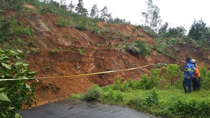 Jalur Utama Longsor 200 Meter, Ini Langkah Pemkab Trenggalek