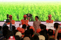 Kemendesa PDTT Gandeng BNI Perkuat Kawasan Transmigrasi Mesuji