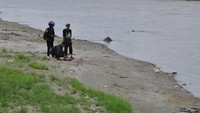 Sejumlah relawan memasang umpan untuk memancing buaya yang terjerat ban ke tepian sungai saat dilakukan upaya penyelamatan, di Palu, Sulawesi Tengah, Minggu (21/1).  Upaya penyelamatan terhadap buaya dengan panjang sekitar empat meter itu dilakukan oleh tim gabungan yang terdiri dari ahli penanganan satwa liar, relawan pecinta reptil, dan petugas keamanan setempat. (Foto: ANTARA FOTO/Mohamad Hamzah)