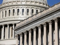 Raih 218 Kursi DPR, Trump dan Republik Sapu Bersih Pemilu AS