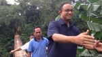 Foto: Ekspresi Anies saat Susuri Jembatan Ngeri di Jagakarsa