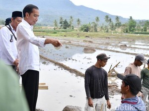 Jokowi Tinjau Padat Karya Tunai Bangun Irigasi di Lampung