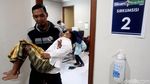 Ketika Anak Kurang Mampu Ikuti Sunat Gratis