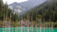 Danau Kaindy di Pegunungan Tian Shan, Almaty, Kazakhstan ini akan membuat traveler terheran-heran. Danau ini berisi pepohonan cemara yang bisa air surut akan mencuat ke permukaan. Pohon ini benar-benar tumbuh lho!(Thinkstock)