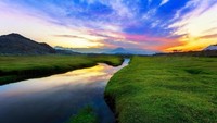Warga lokal memang memanfaatkannya untuk lahan pertanian hingga menggembala ternak. Namun pemandangan hijau nan sejuk membuat traveler berdatangan ke Wadi Al Bardani (Dok. Istimewa/Al Arabiya.net)