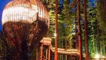 Mengintip 8 Restoran Unik di Dunia Bernuansa Hutan hingga Air Terjun