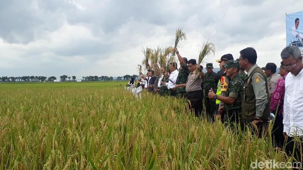 Mentan panen padi di Bojonegoro 
