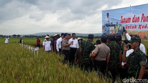 Mentan panen padi di Bojonegoro